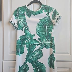 XS Mini Sheath dress w/ruffle sleeve